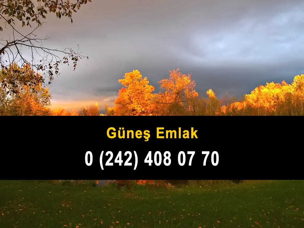 Güneş Emlak